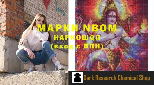 прущие грибы Верея