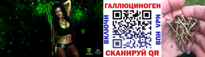 Галлюциногенные грибы Psilocybine cubensis  Ирбит 